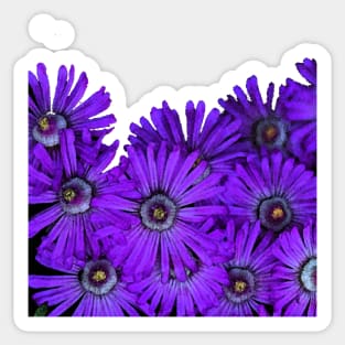 Purple succulent flowers watercolor effect Sticker